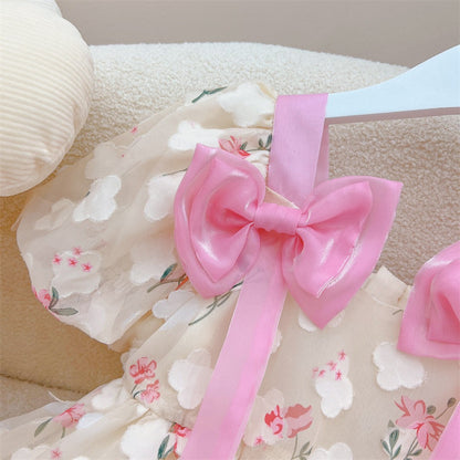 Blush Charm Frock